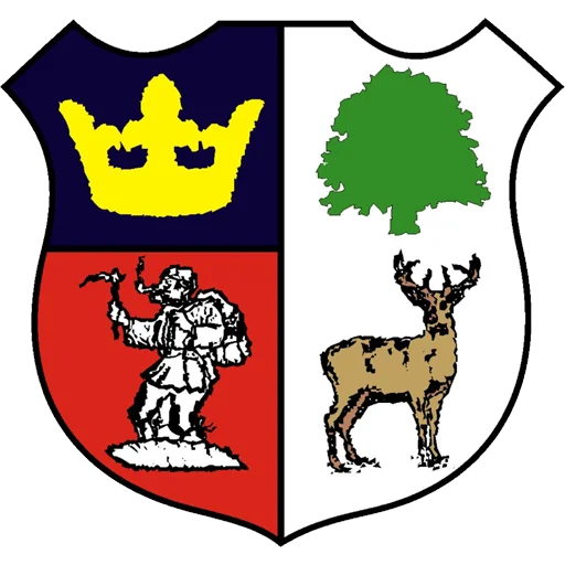 Cinderford Town